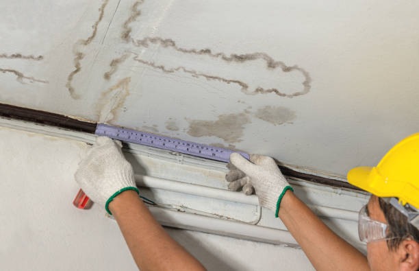 Reliable Water Damage contractor in Colorado City, CO by Water Damage Irwin